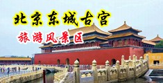 操淫妇大骚屄视频中国北京-东城古宫旅游风景区